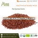 Buy Red Quinoa Organic in Bulk